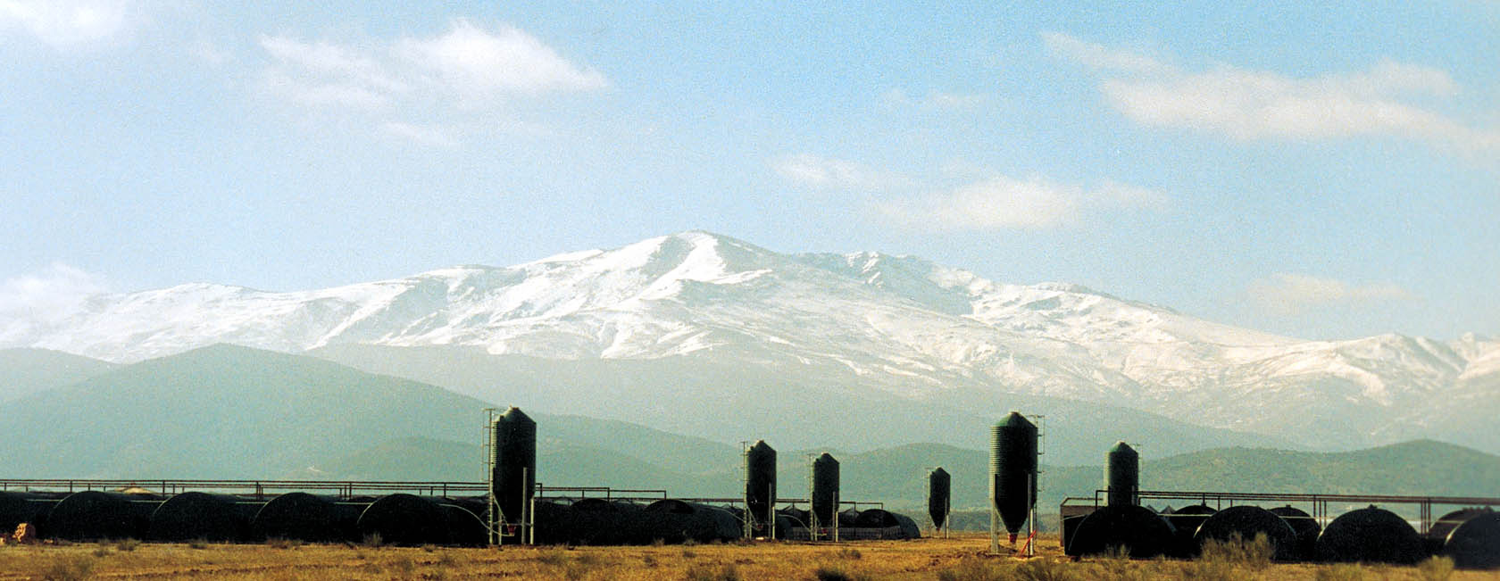 granja para cría de perdiz